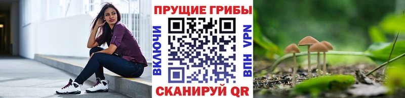 где купить наркотик  Ростов  Галлюциногенные грибы GOLDEN TEACHER 